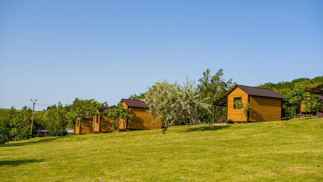 Camping Canyon Grushevtsy  Exterior photo